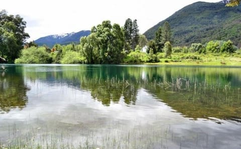Hua Hum Day Trip from San Martin de los Andes to Lanín National Park