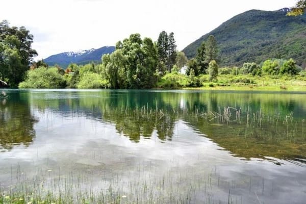 Hua Hum Day Trip from San Martin de los Andes Including Lanin National Park