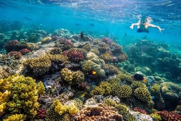 Luxury Snorkeling Cruise to Hula Hula Island from Hurghada