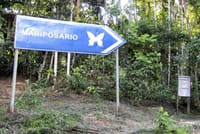Pilpintuwasi Butterfly Farm and Native Tribes 6