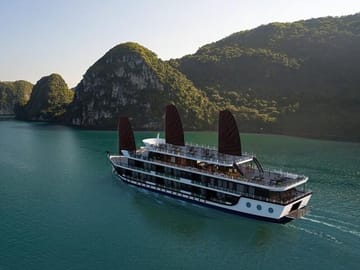 5-Star Cruise