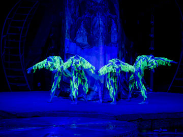 Aqua Circus Show Ticket in Kathu, Phuket