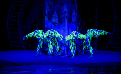 Aqua Circus Show Ticket in Kathu, Phuket