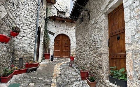 Berat UNESCO Tour and Belshi Lake Day Trip from Tirana