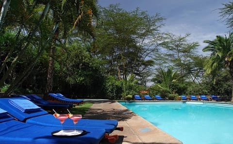2-Day Lake Nakuru Safari for Flamingos and Rhinos
