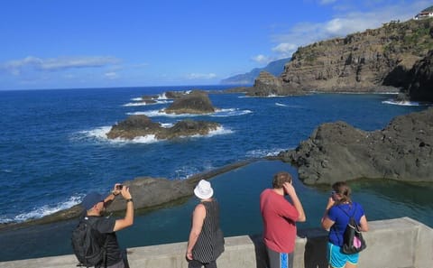 Full Day ATV and Minivan Tour in Porto Moniz