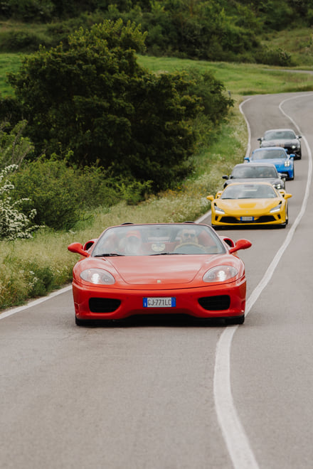 Supercar, Wine Tasting & Castello di Brolio Experience - Photo 17