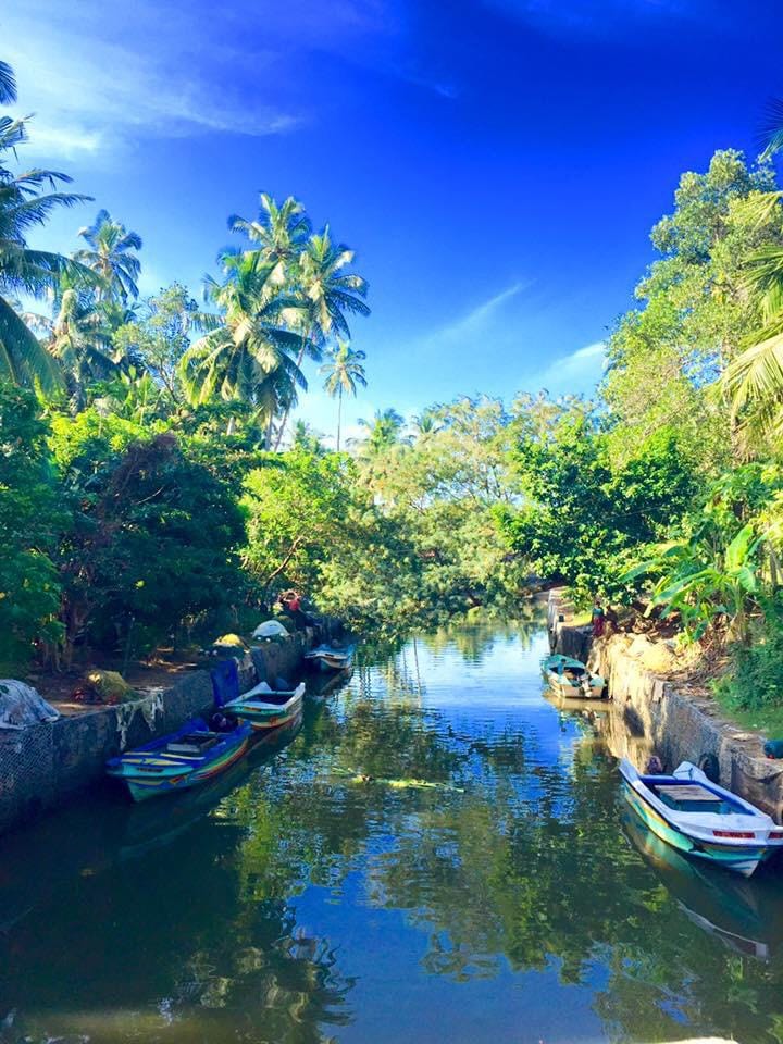 Knuckles Mountains Range Day hiking tours (All inclusive)