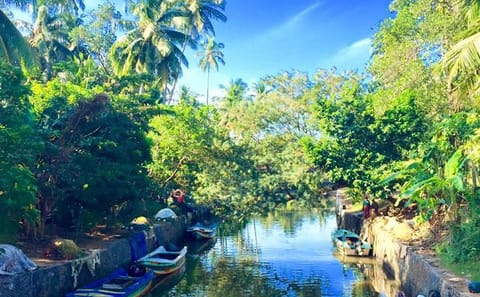 Negombo City Tour: Explore Local Culture and Attractions