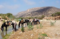 Discover Forests &amp; Rivers with 2 Hours Horseback Riding – Agadir