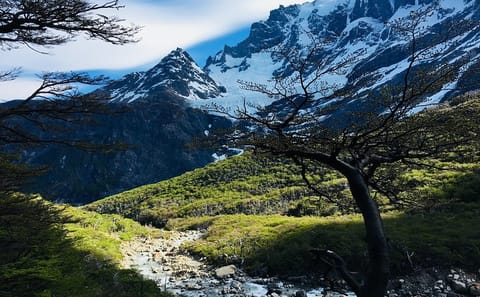 Express W Circuit Trek in Torres del Paine, Chile