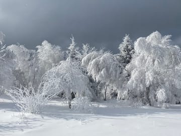 From Brasov: Piatra Craiului National Park 2-Day Guided Trek – Eco-Certified program