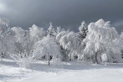 Rambling in Transylvania