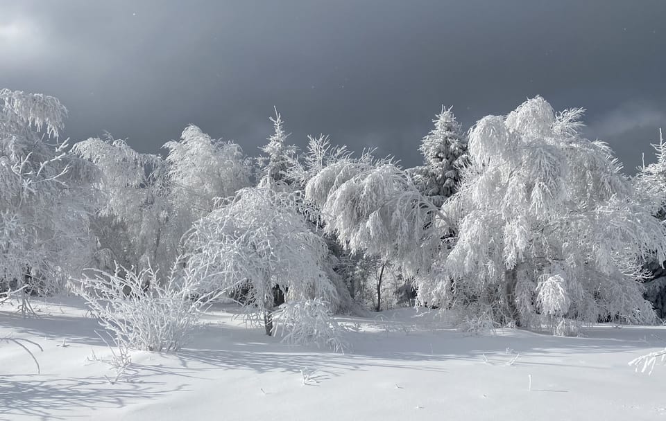 Hiking Tour in Brașov, Holbav, and Poiana Marului