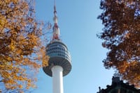 Half-Day Seoul Afternoon Food Tour & 3 Landmarks 10