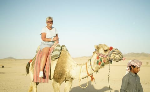 Premium 1 Hour Desert Camel Riding Adventure – Hurghada