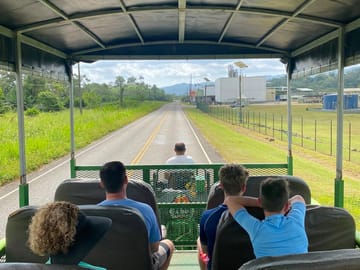 Explore Belize rainforest by tractor and hike