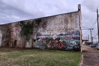 Selma Civil Rights Walk of Freedom Self Guided GPS APP Audio Tour 4