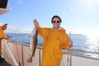 Whales & Sea Angling 1