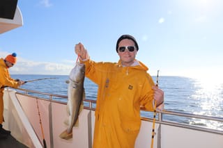 Whales & Sea Angling