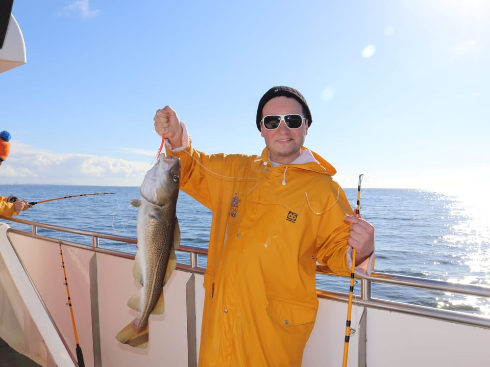 Whales & Sea Angling — Special Tours