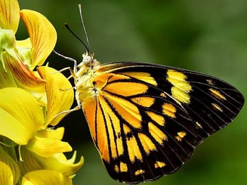 Nature Beauty of Sri Lanka 10 days all inclusive tour