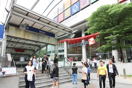 Day tour Buffalo village, Celestial town, fortune cat temple &market