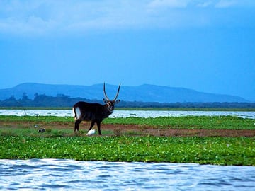 OVERNIGHT TOUR TO MOUNT LONGONOT AND HELLS GATE NAIVASHA