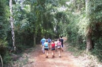 Jungle Fly - Adventure at the Jungle