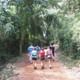Jungle Fly - Adventure at the Jungle