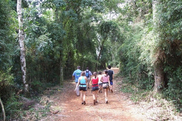 Jungle Fly - Adventure at the Jungle