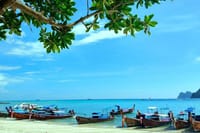 Explore Phi Phi Islands by Ferry – Snorkeling & Lunch Included 5