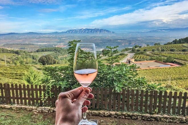 Montserrat & Penedes Winery Private Day Trip with Cava Tasting 3
