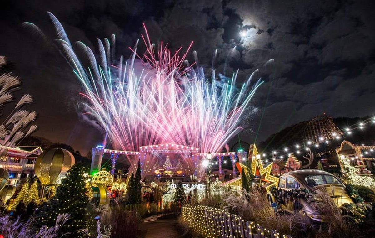 Private Everland Theme Park tour