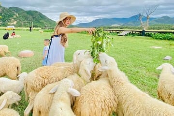 Rai Cave Grape Farm Sheep Field Nha Trang Adventure Tour