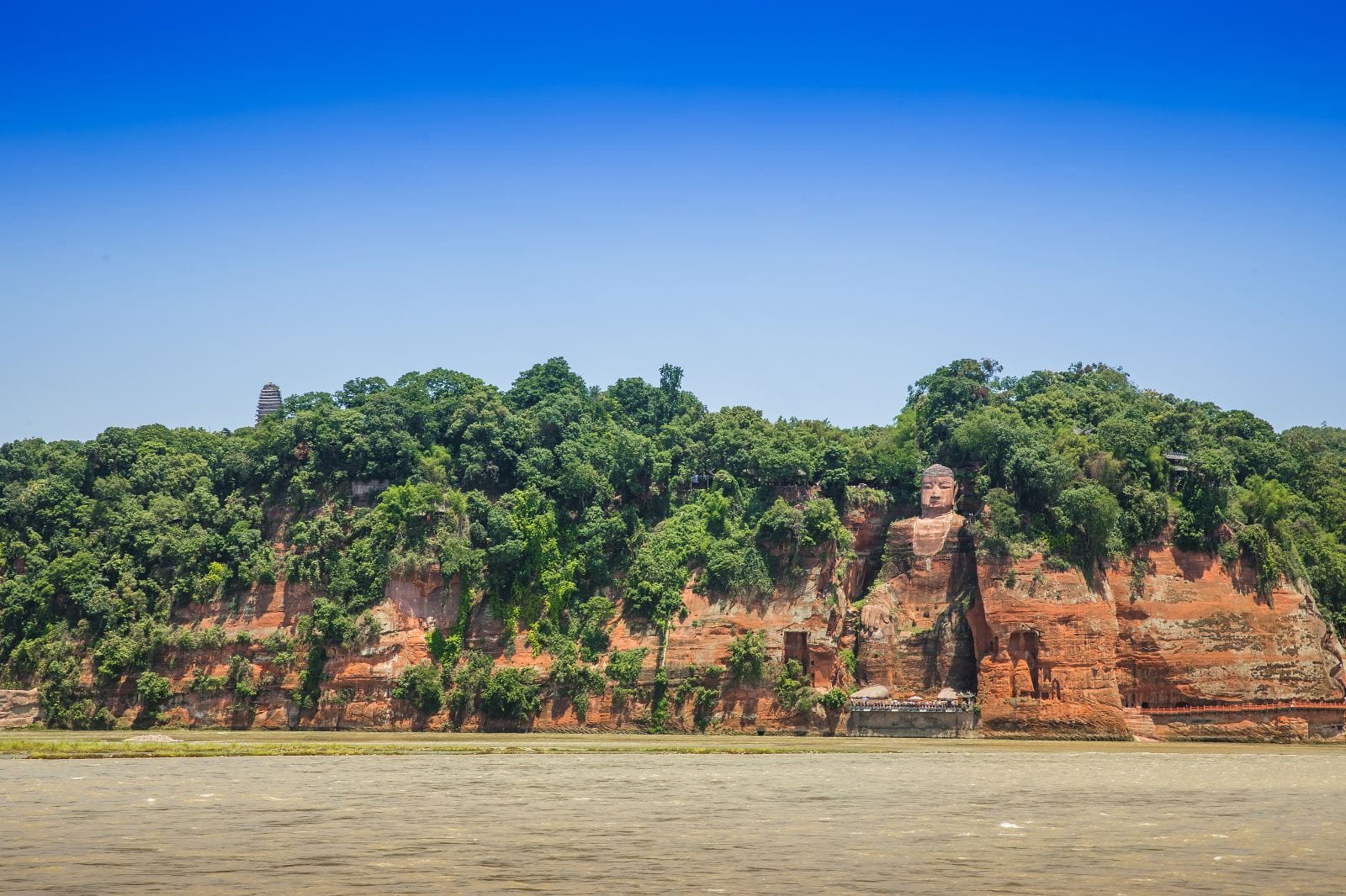 One Day, Two Wonders: A Tour of Chengdu's Pandas & the Leshan Buddha