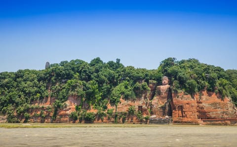 Chengdu Panda Park and Leshan Giant Buddha Day Tour