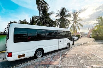 Visit Tortuga Island with Lunch from San José