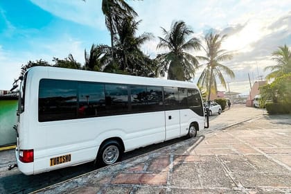 Visit Tortuga Island with Lunch from San José