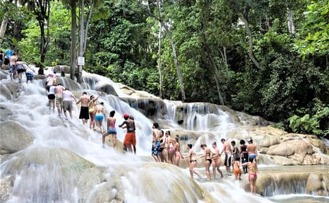 Private Day Trip to Dunn's River Falls from Montego Bay