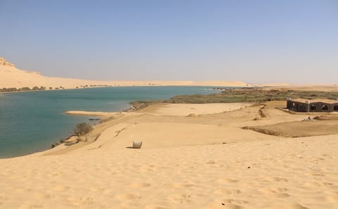 Unforgettable Private Tour to Wadi El Hitan and Tunis Beach
