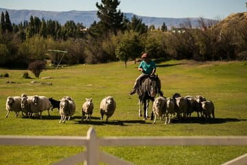 2-Day El Calafate Escape with Optional Airfare from Buenos Aires