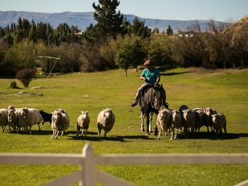 2-Day Adventure Tour of El Calafate and Perito Moreno Glacier