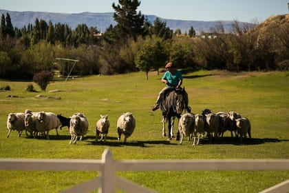 2-Day El Calafate Escape with Optional Airfare from Buenos Aires