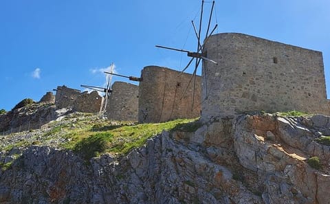 Small Group Cultural Tour of Krasi and Lasithi Plateau
