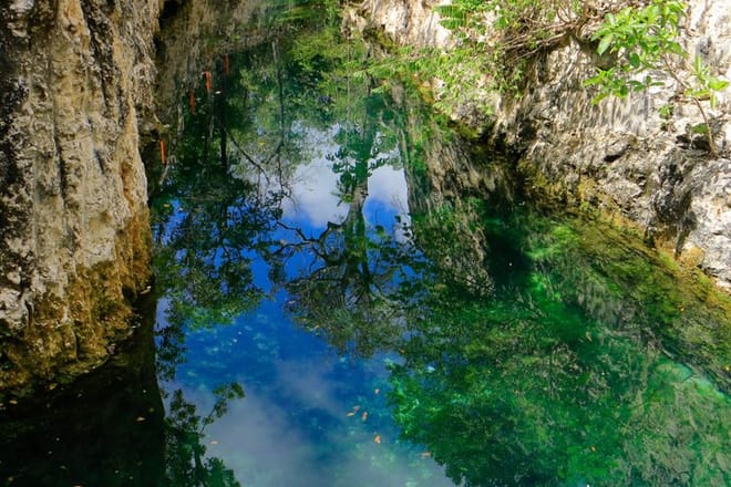 Tour en Cenote de Tulum 5 Cenotes y Despierta Tus Sentidos