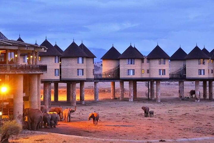 Luxury Safari Adventure in Tsavo West & Saltlick Lodge from Nairobi