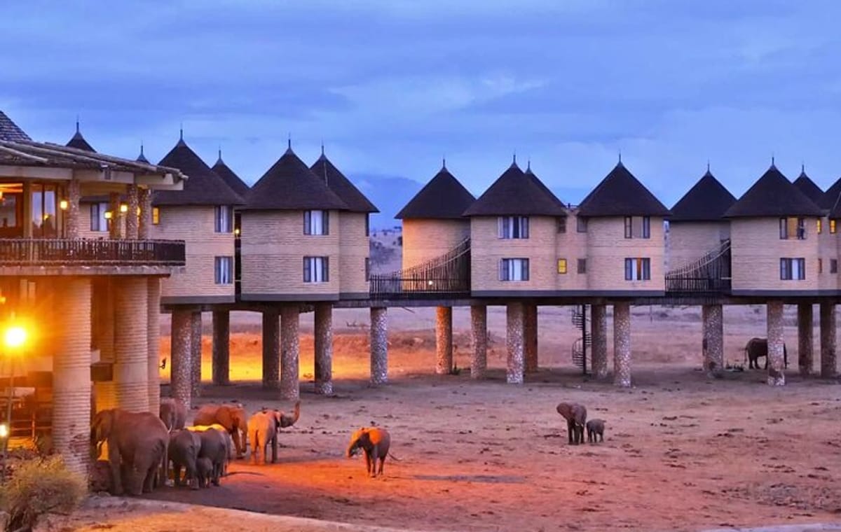 3 Days Saltlick And Tsavo West Luxury safari From Nairobi