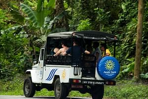 BY PARATY TOURS : Jeep Tour through waterfalls and stills 