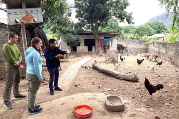 1 Day Ninh Binh Guided Tour from Hanoi by Limousine (Group of 9)